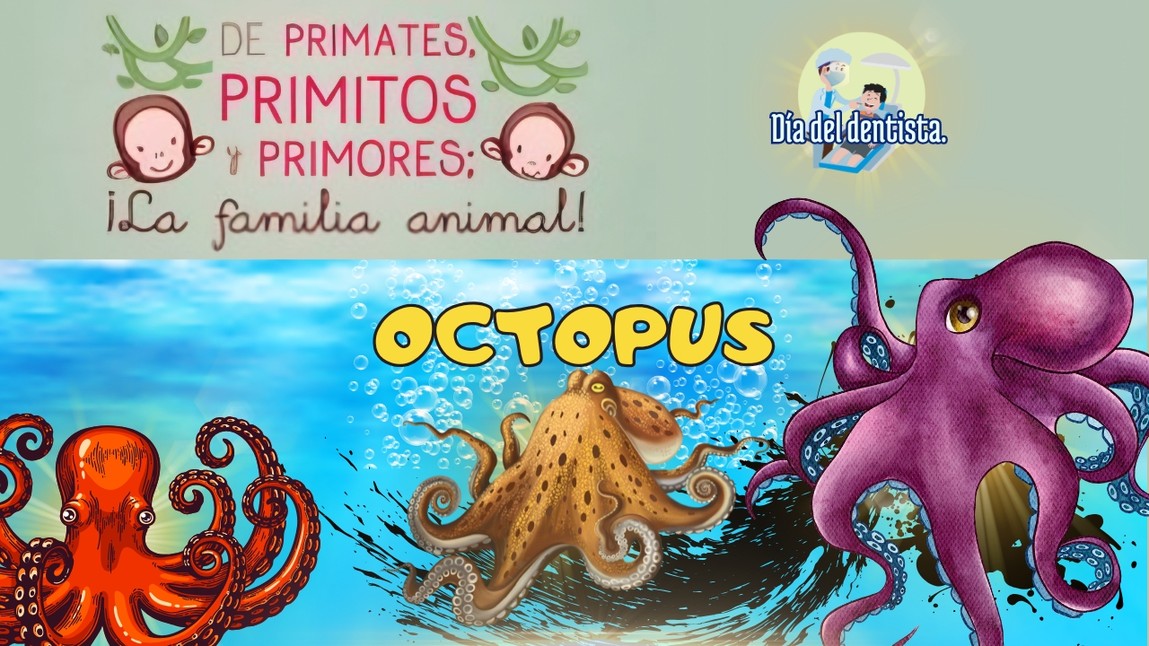 De primates, primitos y primores… ¡La familia animal!
