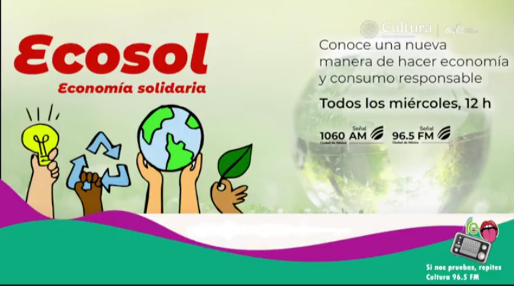 Cooperativa Oyameyo: plantas, miel y juventud. 971
