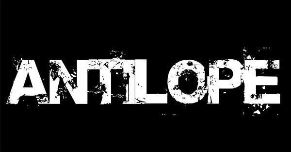 Antílope. Antílope.