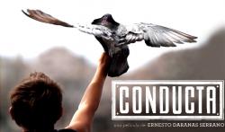 Programa No. 1563