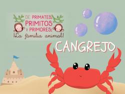 479. Cuidar el hábitat de los animalitos de mar desde casa; el cangrejo.