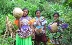 Mujeres indígenas chiapanecas en la producción forrajera. 672 