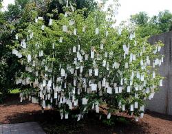 El árbol de los deseos de Yoko Ono. Una invitación a la Paz.