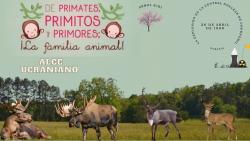 675. Animales radioactivos; alce.