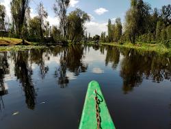 Programa 236. ¿Está muriendo la tradición chinampera? Las nuevas generaciones retornan a la siembra en las chinampas