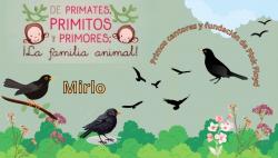 685. Entre primitos cantores.
