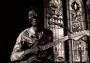 806. Hound Dog Taylor (Un tributo)