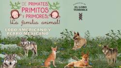 676. Lobitos bonitos; parientes de los perritos