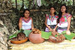 Mujeres de la tierra: comida tradicional y agricultura campesina en Tláhuac. 859  