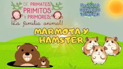 663. Marmota y Hámster