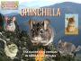 738. Día nacional del combatiente de incendios forestales. Roedorcitos: chinchilla.