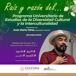 359. Programa Universitario de Estudios de la Diversidad Cultural y la Interculturalidad II 