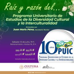  358. Programa Universitario de Estudios de la Diversidad Cultural y la Interculturalidad I 