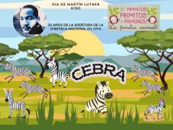 713.  El color no importa con esa discriminación ya corta