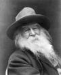 237. Walt Whitman: El poeta de lo cotidiano.