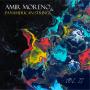 Amir Moreno: "Amir Moreno & Panamerican Strings Vol.II"