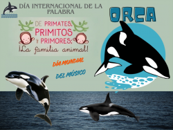 705. Palabra de ballena