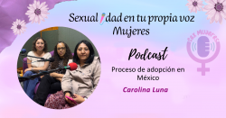 1482. Proceso de adopción en México