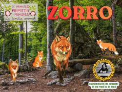 734. Zorro