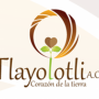 Proyectos de Tlayolotli
