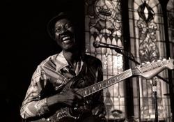 806. Hound Dog Taylor (Un tributo)