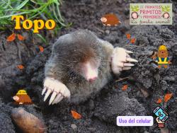 753. Uso del celular: Topo.