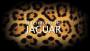 El territorio del jaguar, documental. 598