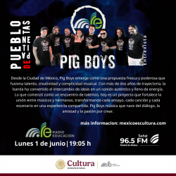Programa 2164. Pig Boys