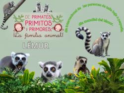 701. Día mundial de las personas talla baja lémur