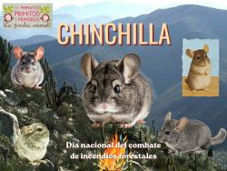 738. Día nacional del combatiente de incendios forestales. Roedorcitos: chinchilla.