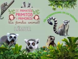 684. Dia internacional de los trópicos