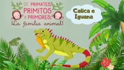 633. Calica e iguana 