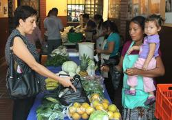 De la milpa a la mesa, un desafío para tener una alimentación sana. 881