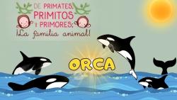 662. Una madre orca