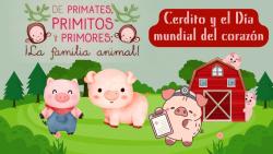 645. Cerdito y el día mundial del corazón