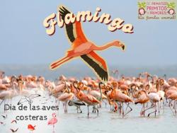 746. Día de las aves costeras Flamingo.