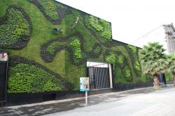 Muros verdes y biodiversidad. 585