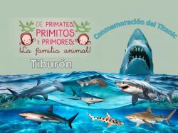 686. Ténganme compasión no satanicen al tiburon