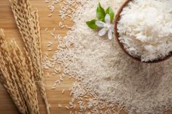 Producción de arroz orgánico Pijije. 648