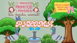720. Día de la mujer y día de las semillas. Paloma 