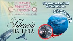 745. Dia del tiburón ballena 