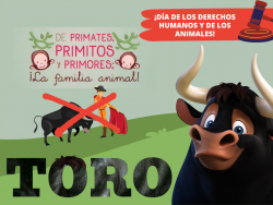 603. Derechos humanos y derechos animales: Toro