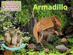 742. Día internacional del armadillo: Armadillo.