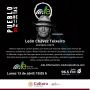 Programa 2150. León Chávez Teixeiro. Segunda Parte