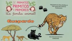 693. Día internacional del puma y la solidaridad; Guepardo